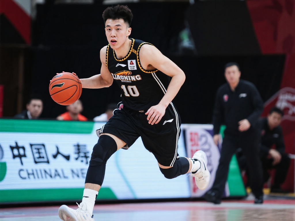 瑞士队的全 瑞士队的全